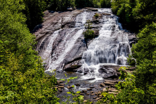 Dupont State Forest